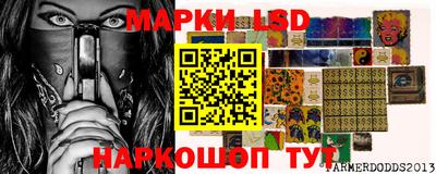 spice Бийск