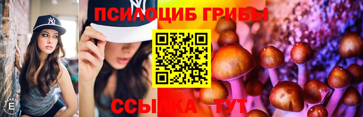 Псилоцибиновые грибы ЛСД  Вход с VPN  Киселёвск  Псилоцибиновые грибы ЛСД 